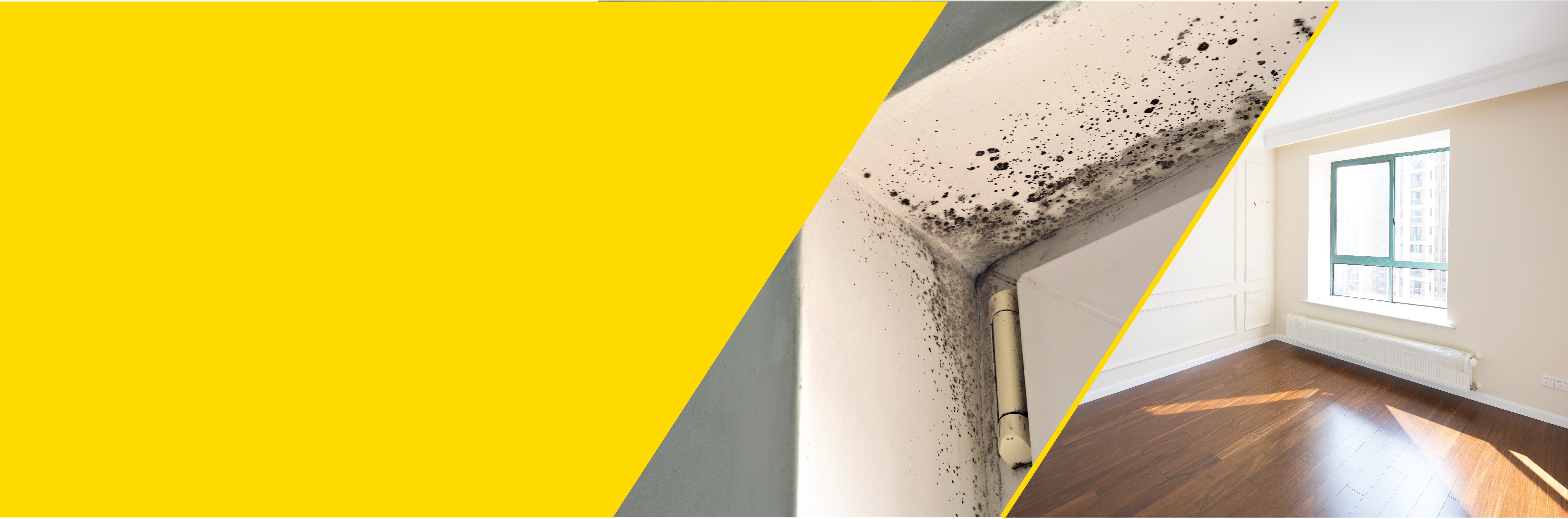 Pulire la muffa con un prodotto senza cloro?