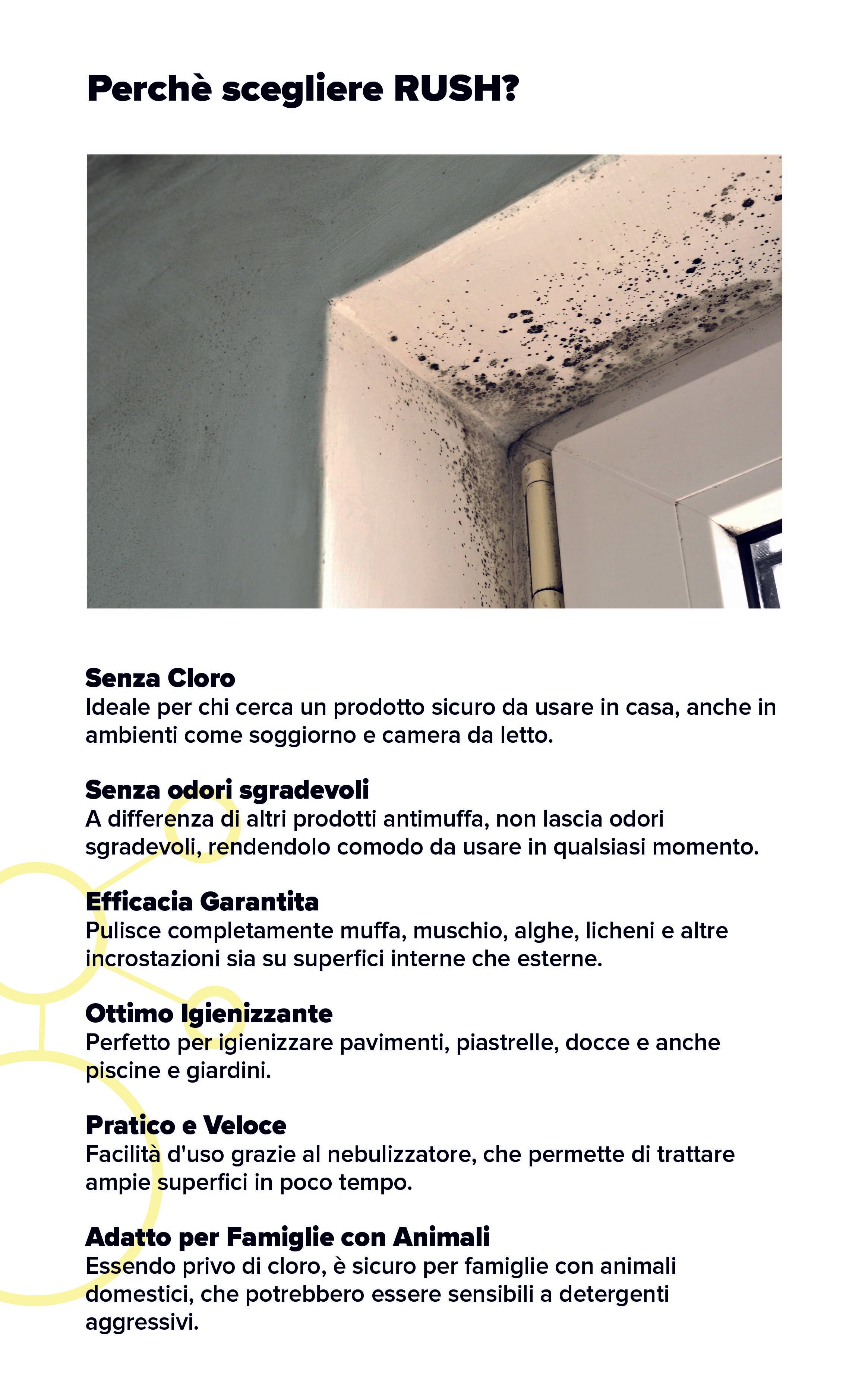 Rush 2 mobile fdd6af43 c8a9 4c6b 9655 121fe784b7a1