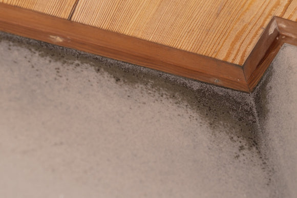 RUSH - Pulisci Muffa Senza Cloro [ 750 ml ]