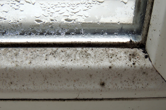 RUSH - Pulisci Muffa Senza Cloro [ 750 ml ]