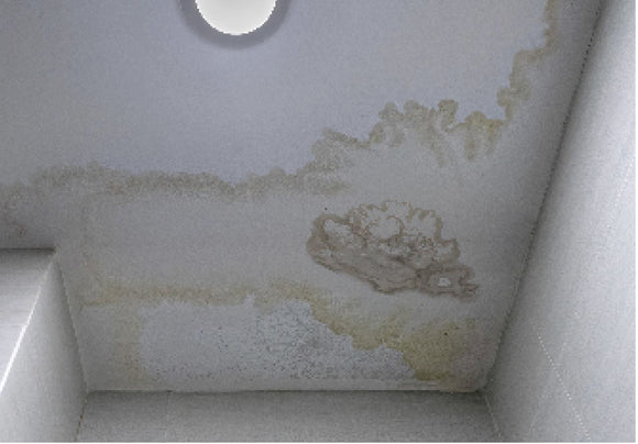 Basta infiltrazioni!